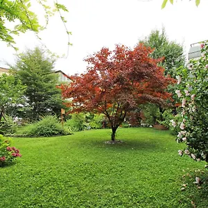 Apartment Nigler Innsbruck